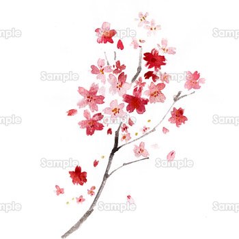 桜一枝 のテンプレート 素材 無料ダウンロード ビジネスフォーマット 雛形 のテンプレートbank