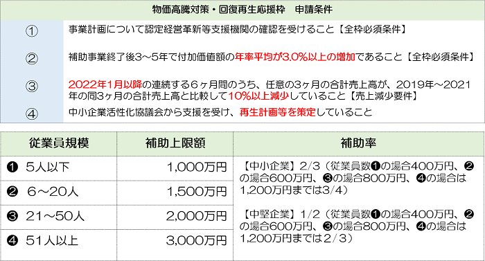 物価高騰対策・回復再生応援枠の主要要件表