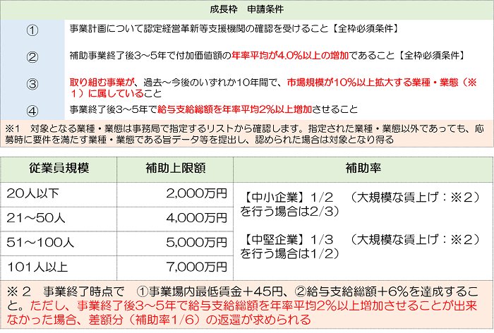 成長枠の主要要件表