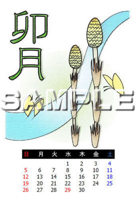 �T���v���摜