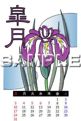 �T���v���摜