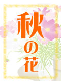 花言葉「秋の花」