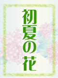花言葉「初夏の花」