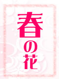 花言葉「春の花」