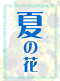 花言葉「夏の花」