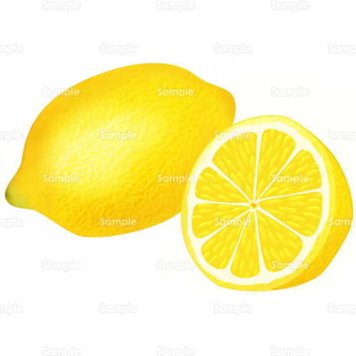 レモン 檸檬 果物 フルーツ のイラスト 001 0066 クリエーターズスクウェア
