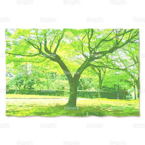 公園 新緑 自然 木 のイラスト 002 0018 クリエーターズスクウェア