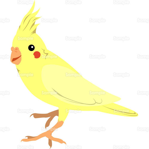 インコ ペット 小鳥 のイラスト 005 0124 クリエーターズスクウェア