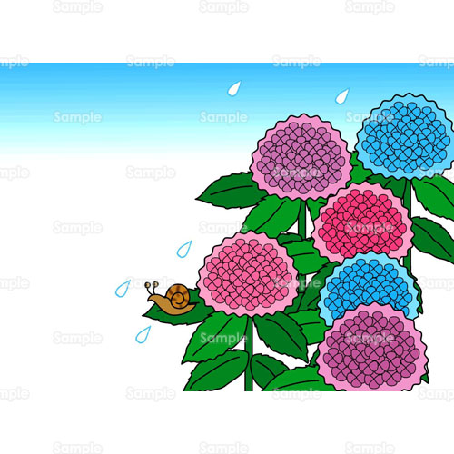 かたつむり 紫陽花 あじさい 花 のイラスト 006 0031 クリエーターズスクウェア