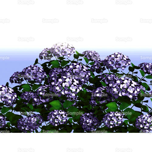 紫陽花 あじさい 花 のイラスト 013 0001 クリエーターズスクウェア 紫陽花 あじさい 花 のイラスト 013 0001 クリエーターズスクウェア