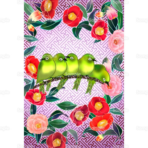 メジロ 中国 鳥 山茶花 サザンカ 椿 つばき 花 のイラスト 026 0026 クリエーターズスクウェア