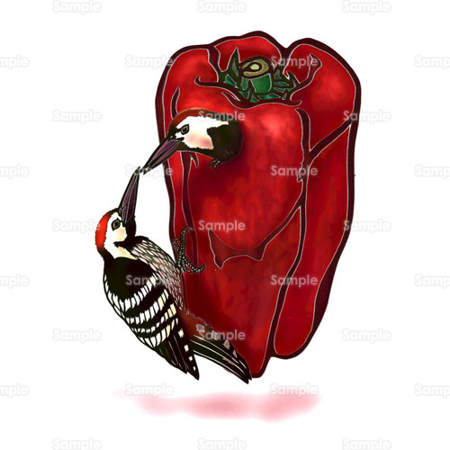 キツツキ 啄木鳥 鳥 パプリカ ピーマン 野菜 のイラスト 026 0037 クリエーターズスクウェア