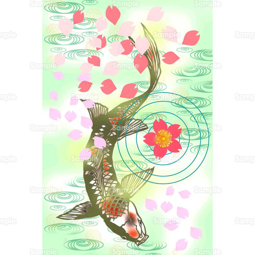 お花見 鯉 桜 さくら 花 のイラスト 026 0063 クリエーターズスクウェア