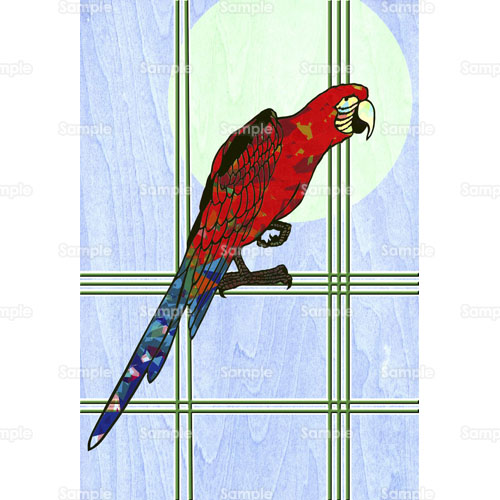オウム 自然 鳥 鸚鵡 のイラスト 026 0076 クリエーターズスクウェア