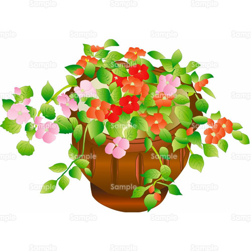 インパチェンス 花 鉢植え のイラスト 031 0001 クリエーターズスクウェア