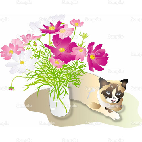 ネコ 猫 コスモス 秋桜 花 花瓶 のイラスト 031 0004 クリエーターズスクウェア