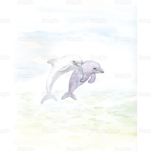 イルカ 海豚 海 のイラスト 038 0050 クリエーターズスクウェア