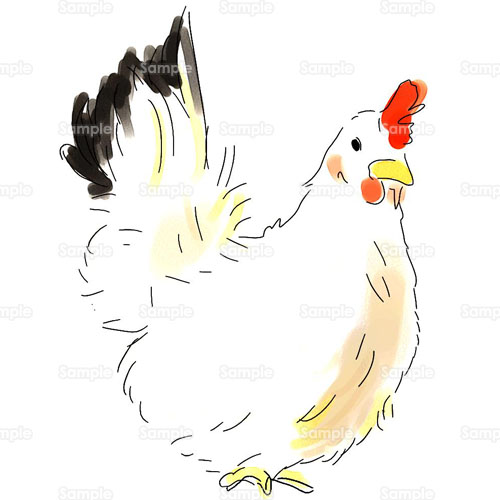 鶏 干支 にわとり 鳥 のイラスト 040 0137 クリエーターズスクウェア