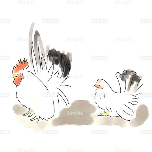 鶏 干支 にわとり 鳥 のイラスト 040 0141 クリエーターズスクウェア