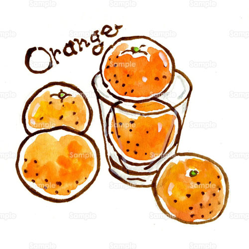 コップ みかん 蜜柑 オレンジ 果物 フルーツ のイラスト 052 0055 クリエーターズスクウェア