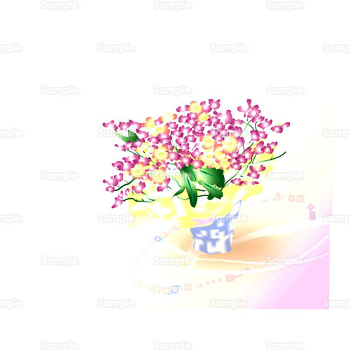 蘭 ラン デンドロビウム オンシジューム 花 鉢植え のイラスト 055 0002 クリエーターズスクウェア