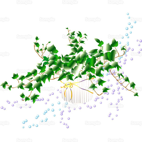 アイビー 蔦 ツタ 観葉植物 鉢植え のイラスト 055 0007 クリエーターズスクウェア