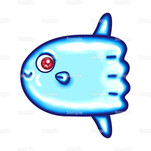 魚 海 うみ さかな マンボウ のイラスト 059 0042 クリエーターズスクウェア