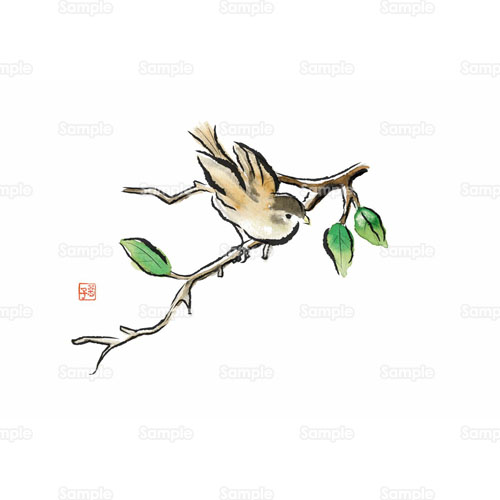 小鳥 庭 鳥 トリ スズメ 雀 木 枝 のイラスト 066 0003 クリエーターズスクウェア