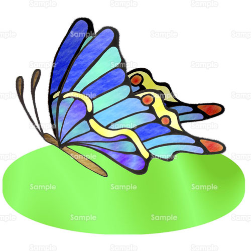 蝶 ちょうちょ ちょう のイラスト 067 0036 クリエーターズスクウェア