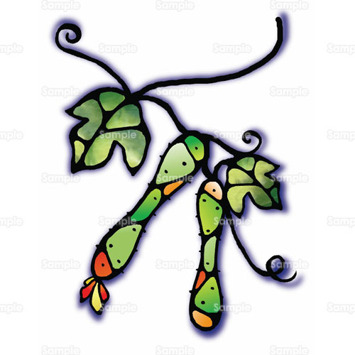 胡瓜 きゅうり 野菜 のイラスト 067 0076 クリエーターズスクウェア 胡瓜 きゅうり 野菜 のイラスト 067 0076 クリエーターズスクウェア