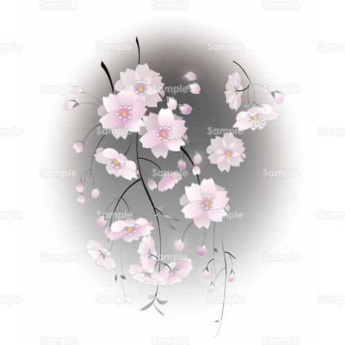 お花見 夜桜 桜 さくら 花 のイラスト 073 0001 クリエーターズスクウェア