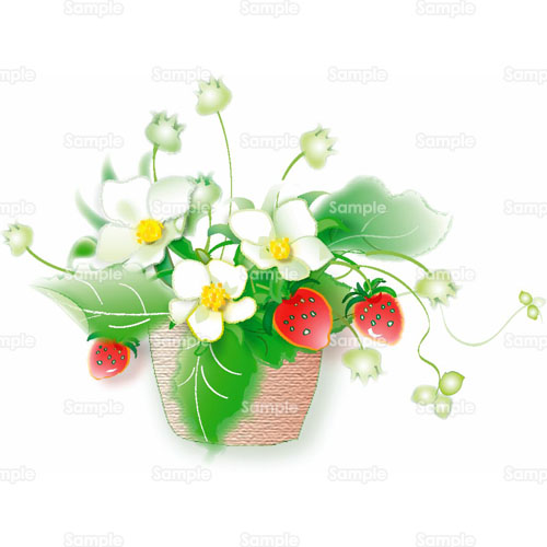 苺 イチゴ ワイルドストロベリー ストロベリー 花 果物 フルーツ 鉢植え のイラスト 073 0002 クリエーターズスクウェア