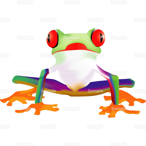 カエル 蛙 のイラスト 079 0015 クリエーターズスクウェア
