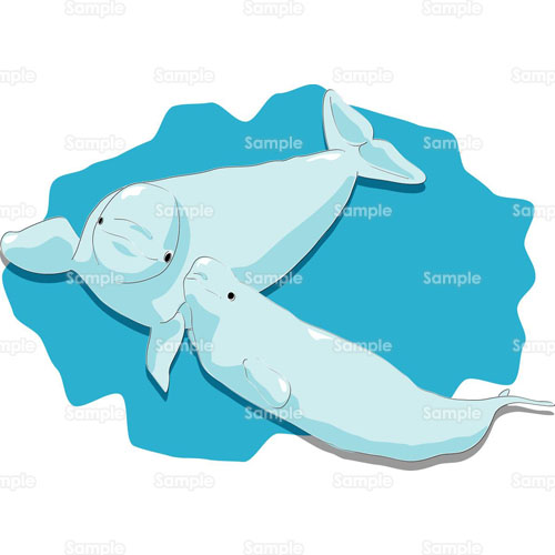 スナメリ 水族館 哺乳類 海 親子 うみ のイラスト 090 0009 クリエーターズスクウェア
