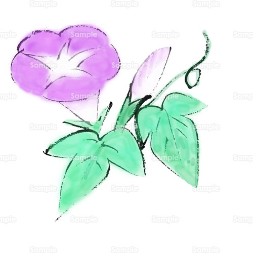 朝顔 アサガオ 花 のイラスト 094 0018 クリエーターズスクウェア 朝顔 アサガオ 花 のイラスト 094 0018 クリエーターズスクウェア