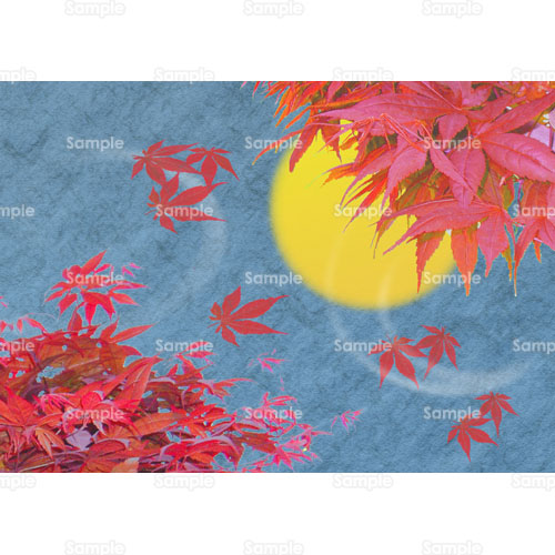 月 水 紅葉 もみじ のイラスト 094 0148 クリエーターズスクウェア