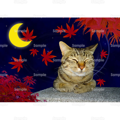 ねこ 猫 紅葉 もみじ 楓 かえで のイラスト 094 0159 クリエーターズスクウェア ねこ 猫 紅葉 もみじ 楓 かえで のイラスト 094 0159 クリエーターズスクウェア