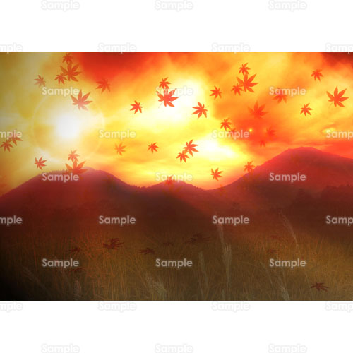 山 紅葉 もみじ 楓 かえで すすき 薄 のイラスト 094 0187 クリエーターズスクウェア