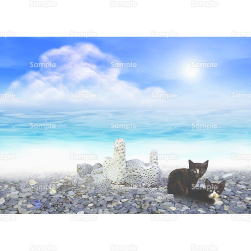 猫 ねこ 子ねこ 子猫 仔猫 仔ねこ 海 海岸 のイラスト 094 0297