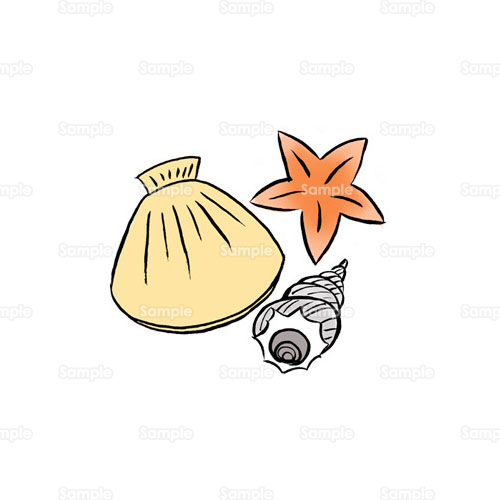 貝 貝殻 ヒトデ 巻貝 ホタテ 海 のイラスト 094 0394 クリエーターズスクウェア
