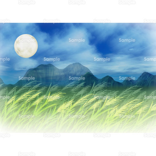 風景;月,満月,夜,田んぼ,イネ,稲穂,米,コメ,農業,