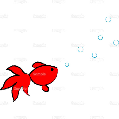 金魚 のイラスト 101 0002 クリエーターズスクウェア