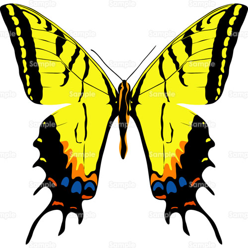 昆虫 ムシ 蝶々 チョウ アゲハチョウ のイラスト 104 0002 クリエーターズスクウェア