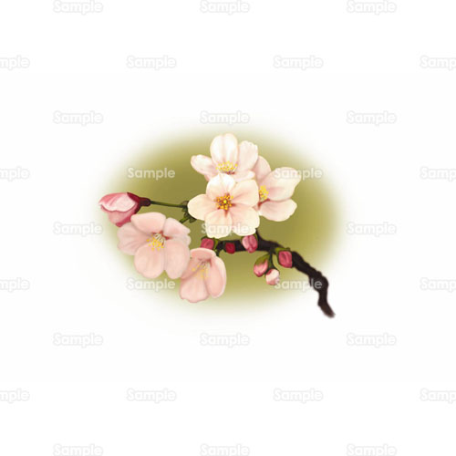 桜 さくら 花 のイラスト 105 0012 クリエーターズスクウェア