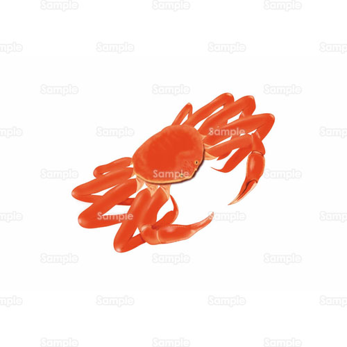 蟹 カニ のイラスト 105 0045 クリエーターズスクウェア