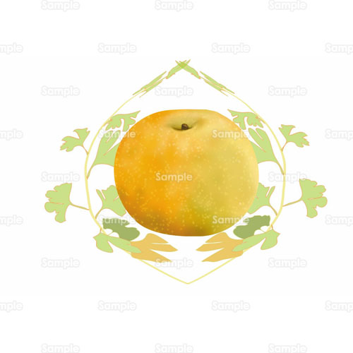 梨 なし 果物 フルーツ 銀杏 イチョウ のイラスト 105 0077 クリエーターズスクウェア