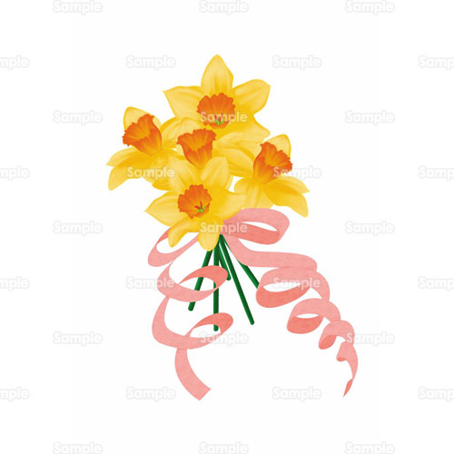 水仙 スイセン 花 ブーケ 花束 のイラスト 105 00 クリエーターズスクウェア