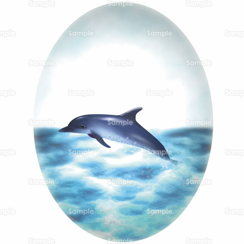 イルカ ドルフィン 海 のイラスト 105 01 クリエーターズスクウェア