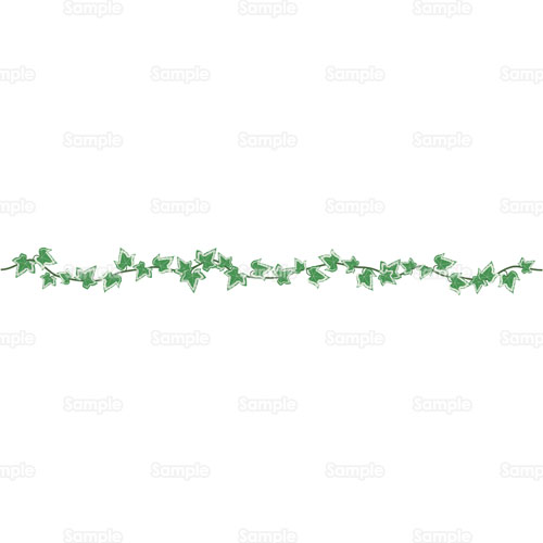 アイビー 蔦 ツタ 観葉植物 のイラスト 105 0330 クリエーターズ