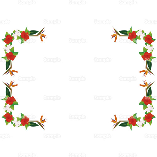 ハイビスカス プルメリア ゴクラクチョウカ ストレリチア ストレチア 花 のイラスト 105 0442 クリエーターズスクウェア